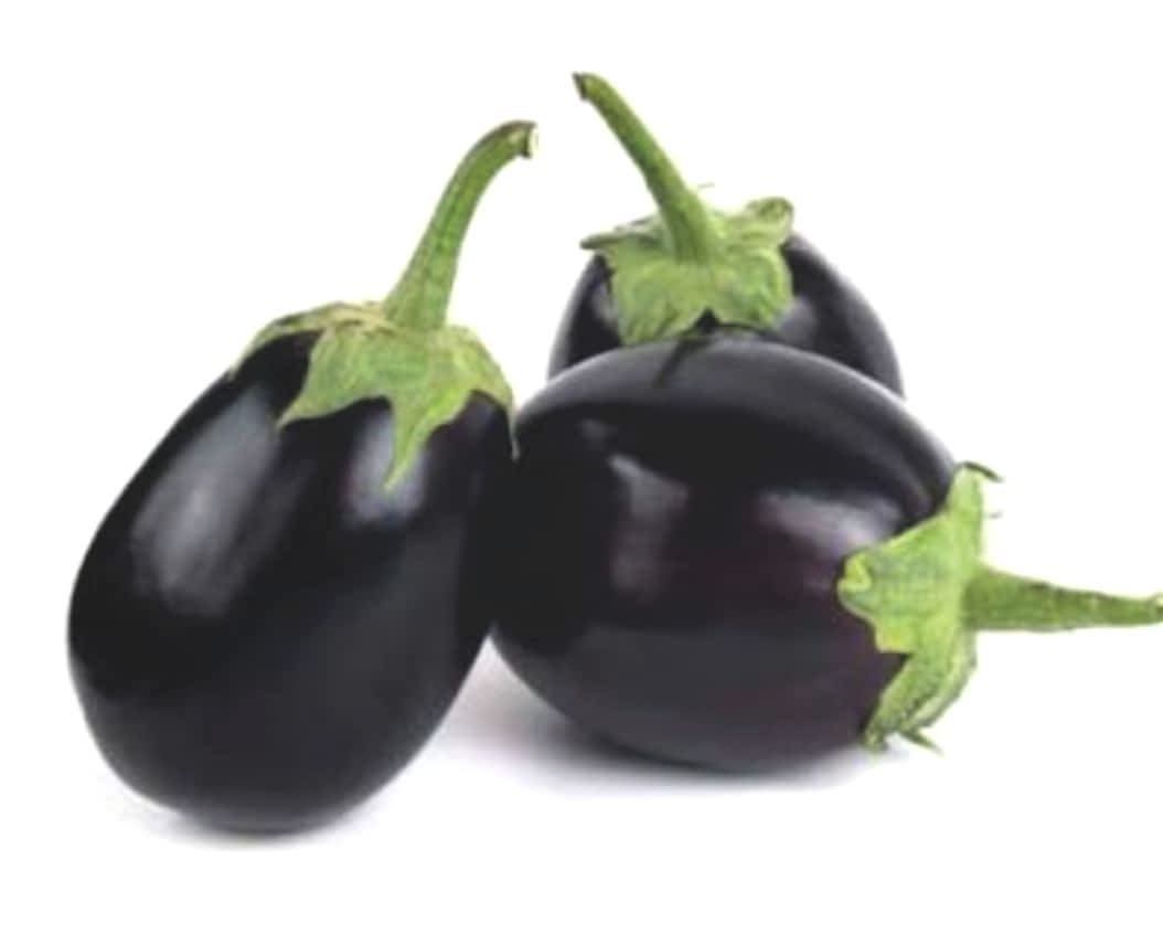 A-Z-62 F1 Topan Patlıcan