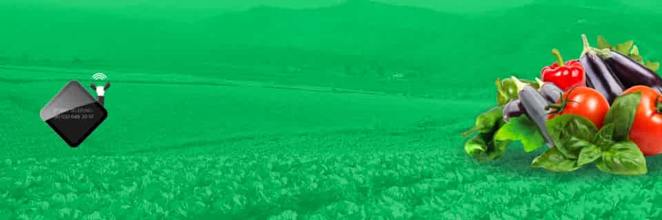 HİBRİT SEBZE TOHUMLARI VE ISLAHI YAPAN YERLİ TOHUM ŞİRKETİDİR