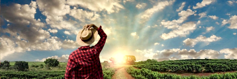 TÜRKİYE VE 25 ÜLKE İÇİN TOHUM ÜRETİYORUZ