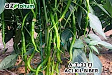 A-Z-23 F1 Acı Kıl Biber