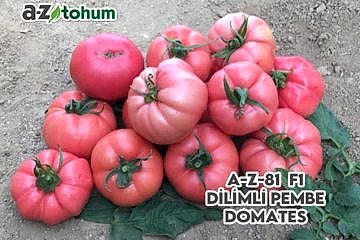 A-Z-81 F1 Dilimli Pembe Domates